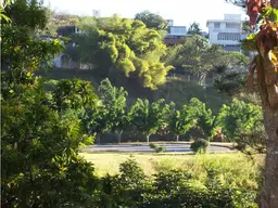Vista 5