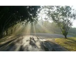 Vista 6