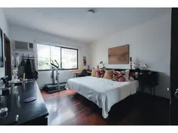 Vista 33