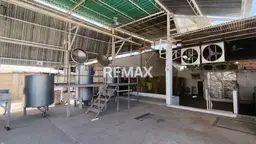 Vista 4