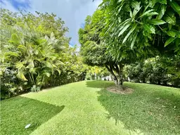 Vista 6