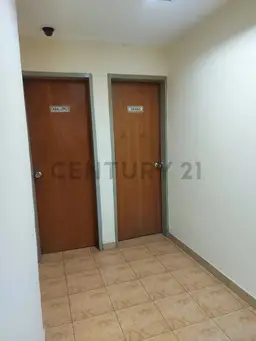 View 19