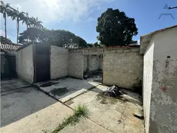 Vista 19