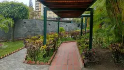 View 6