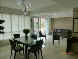 Vista 11
