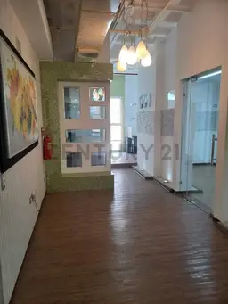 Vista 5