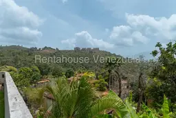 View 46