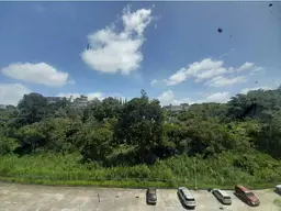 Vista 22