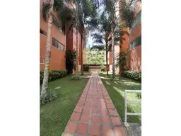 Vista 5