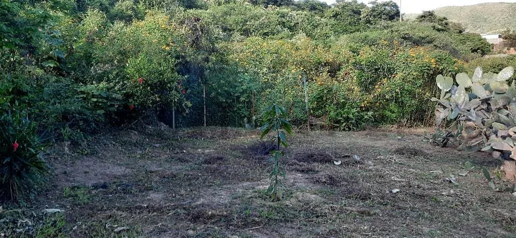 Venta Alquiler Galpon Terreno El Junquito KB02 - 17