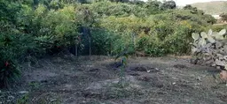 View 17
