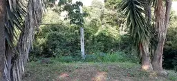 View 19