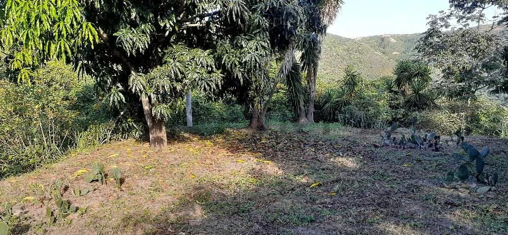 Venta Alquiler Galpon Terreno El Junquito KB02 - 20