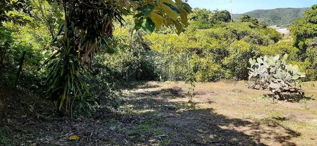 Venta Alquiler Galpon Terreno El Junquito KB02 - 3