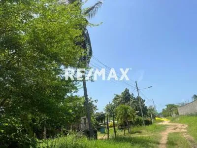 SE VENDE TERRENO DE 1.069,50 MTS2 KILOMETRO 60, SECTOR LOS MANGUITOS, TUCACAS. - 2