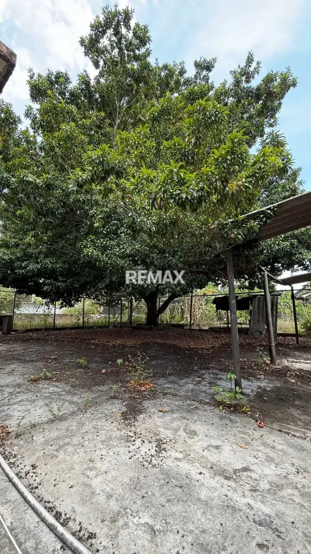 Se Vende Amplia Casa en Las Cocuizas - 12