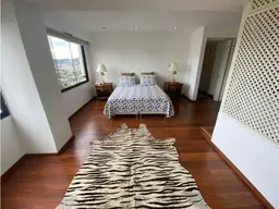 Vista 11