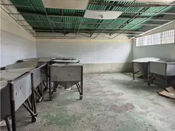 Vista 13