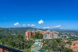 Vista 19