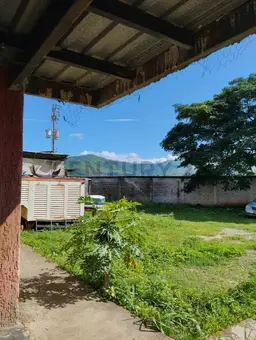 Vista 6