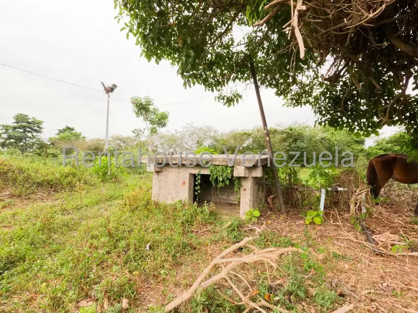 Comercial (Club Campestre) en Venta en Municipio Peña, Yaracuy - 25