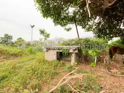 View 25