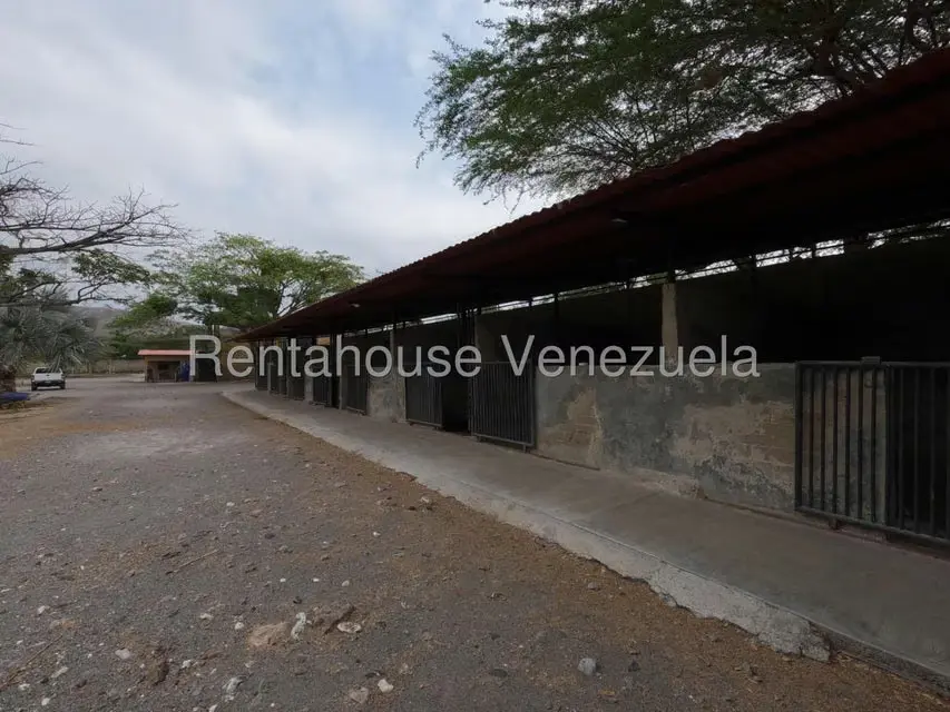 Comercial (Club Campestre) en Venta en Municipio Peña, Yaracuy - 28