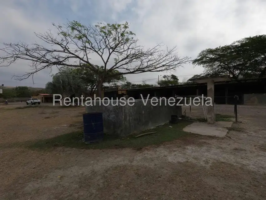 Comercial (Club Campestre) en Venta en Municipio Peña, Yaracuy - 29