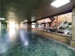Vista 15