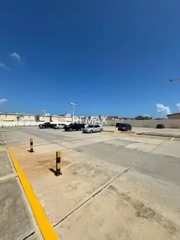 Vista 14