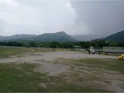 View 4