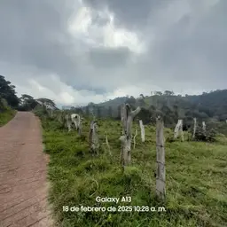 Vista 2