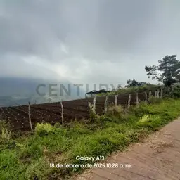 Vista 3