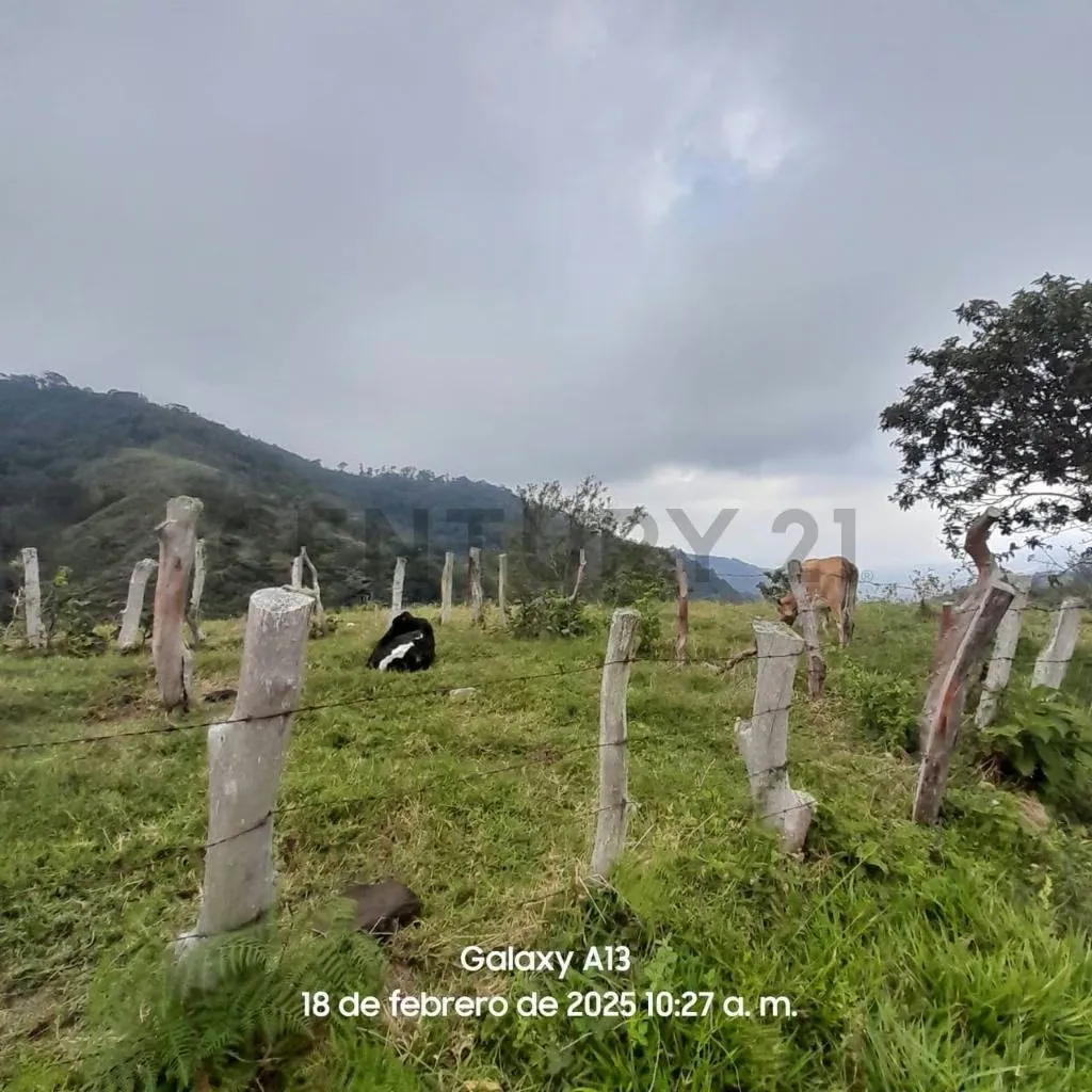 En Venta Terreno en El Fical - 4