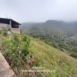Vista 5