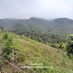 Vista 6