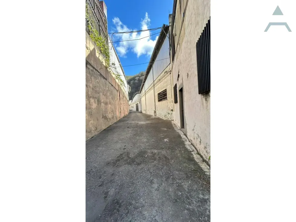Se Alquila Galpon 1200m² Guarenas - 6