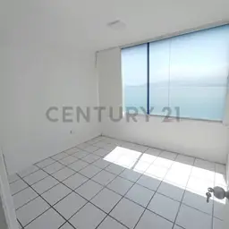 View 7