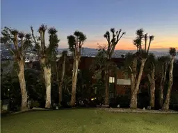 Vista 64