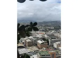 Vista 1