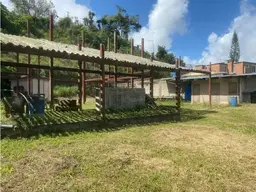 Vista 3