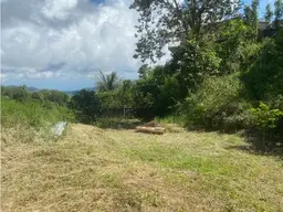 Vista 5