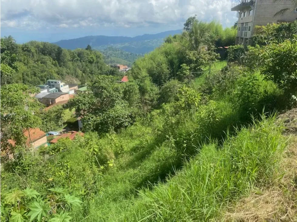 Vendo Terreno en Urbanización Altos de Los Guayabitos - 10