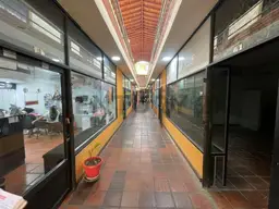 Vista 5