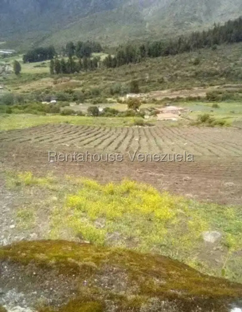 Terreno (Finca) en Venta en El Valle, Merida