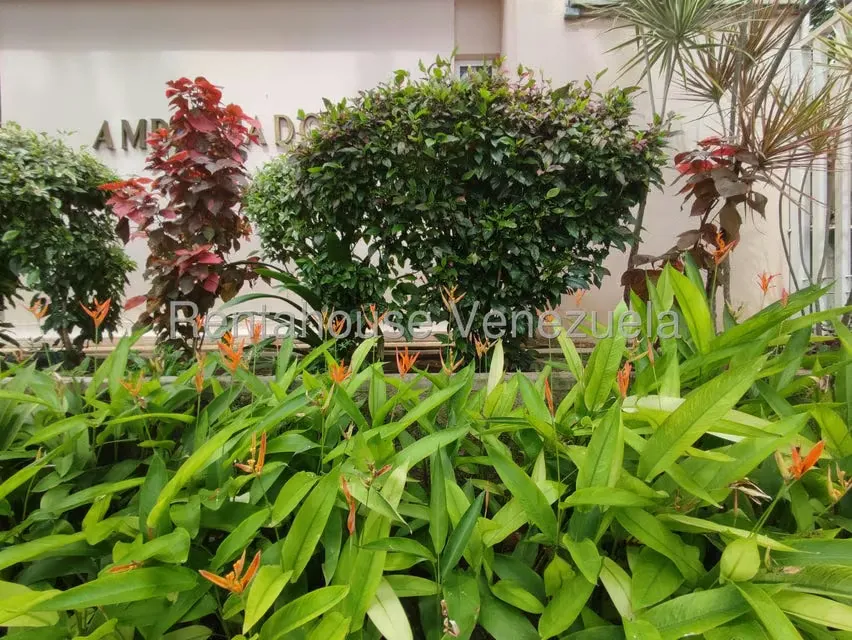 Apartamento (1 Nivel) en Venta en El Bosque, Carabobo - 79