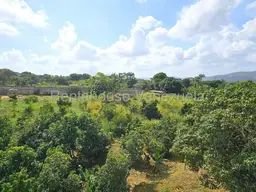 Vista 19