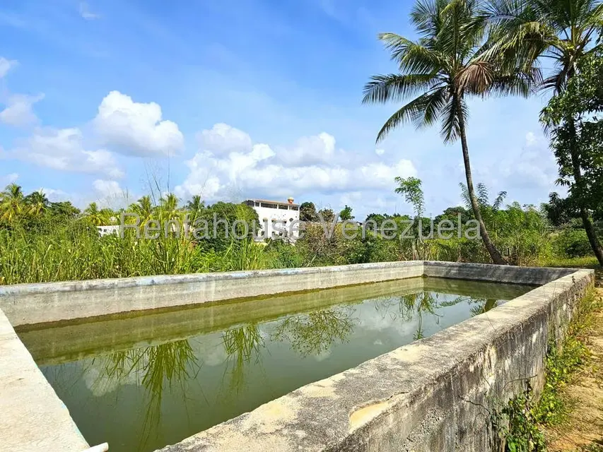 Casa (Multipes Niveles) en Venta en Municipio Peña, Yaracuy - 33