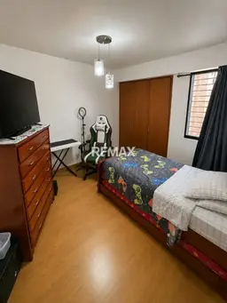 Vista 15