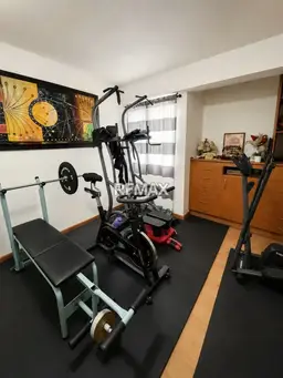 Vista 16